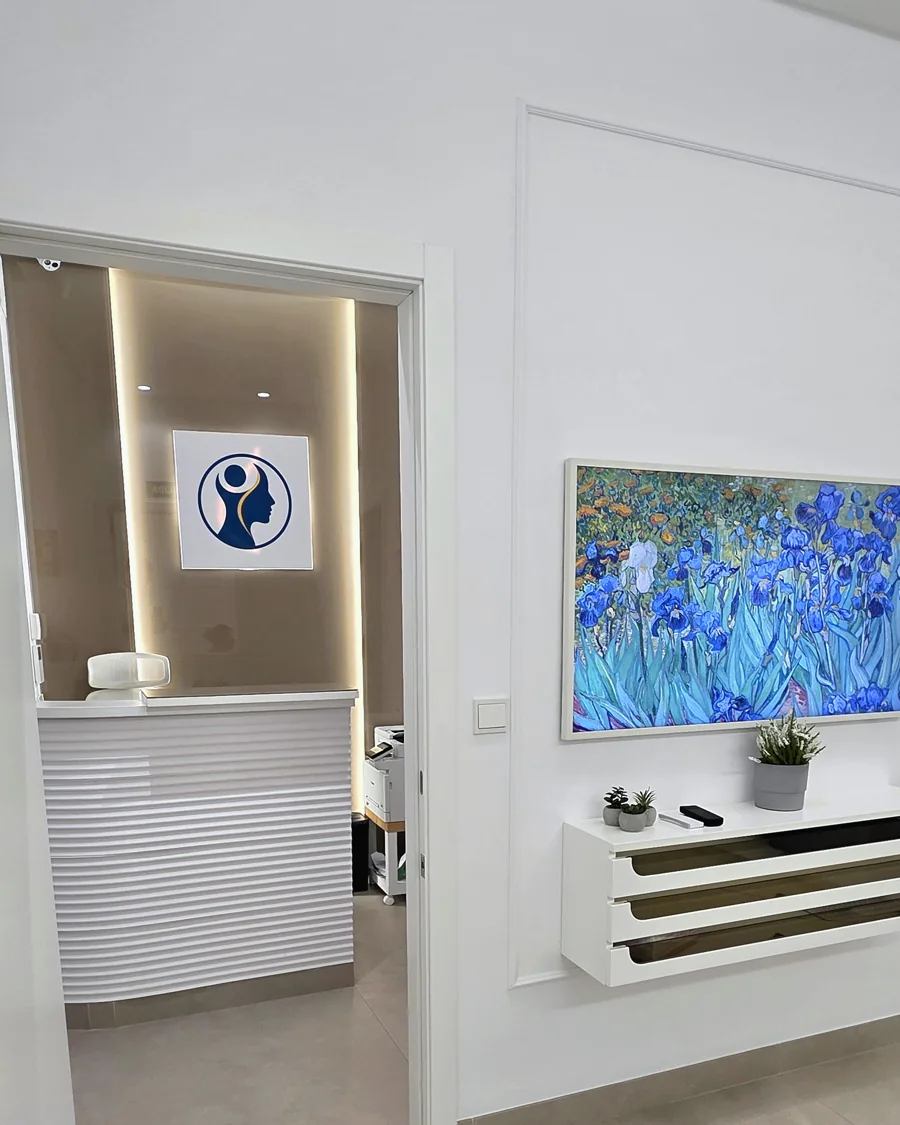 Recepción de HAGNES Medical en C/ San Bernardo 18, Sevilla